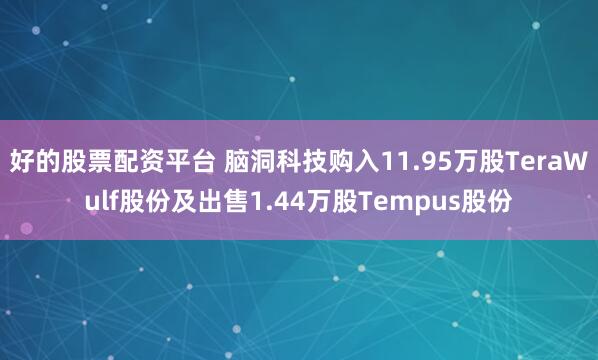 好的股票配资平台 脑洞科技购入11.95万股TeraWulf股份及出售1.44万股Tempus股份
